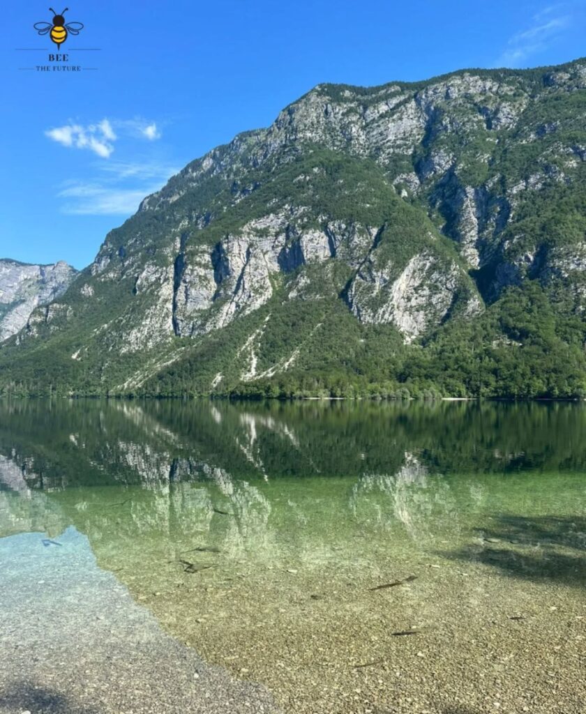 Rethinking Youth Work Through Nature-Based and Experiential Approaches, Lake Bohinj, Slovenia - 19–28 June slovenia 4